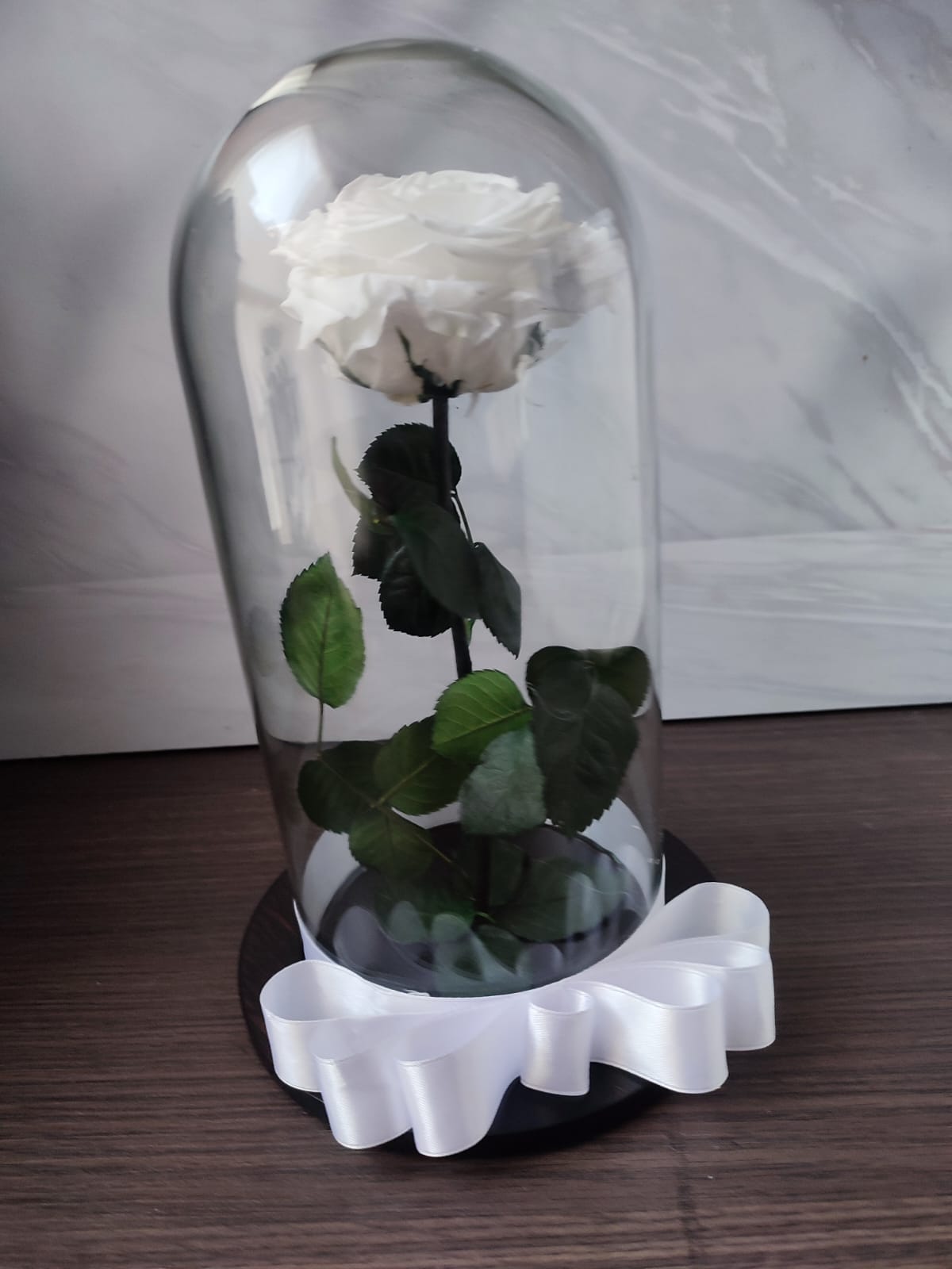 Rosa Preservada
